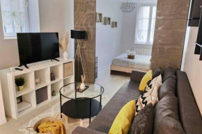 Grand studio cosy 33m2 - hypercentre